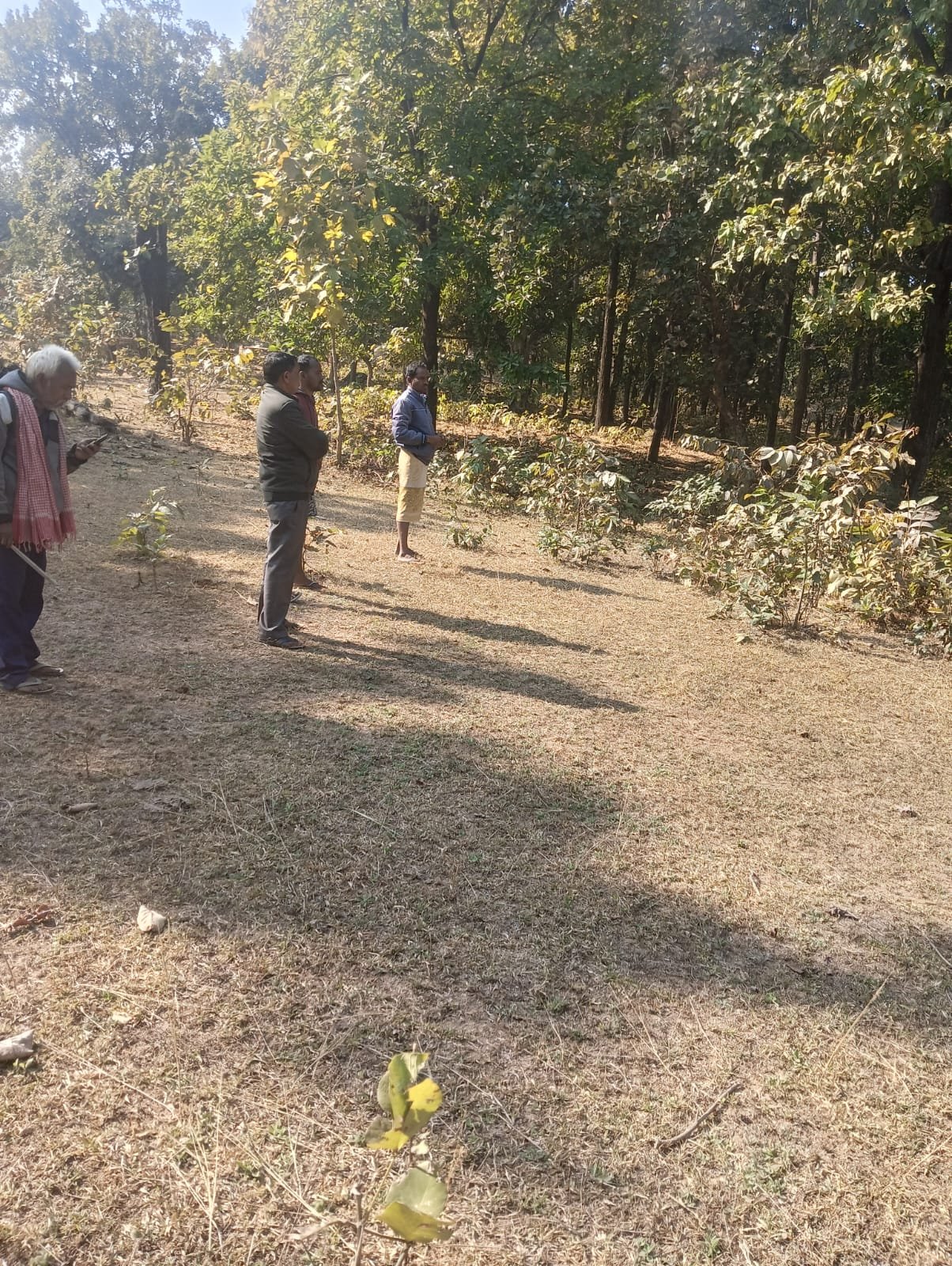 आत्महत्या प्रयास का धान खरीदी से कोई संबंध नहीं प्रशासनिक जांच में उजागर हुआ सत्य