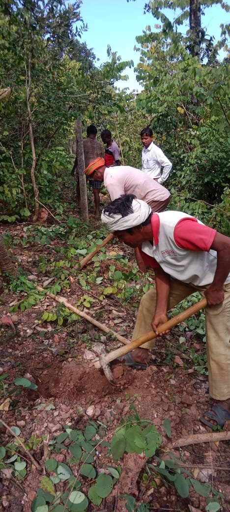 छत्तीसगढ़ राज्य वन विकास निगम द्वारा माओवाद प्रभावित क्षेत्रों में वानिकी कार्यों से राजस्व वृद्धि
