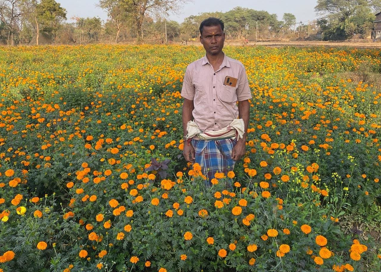 धान से गेंदा फूल तक का सफर- बरगांव के देवानंद निषाद ने एक एकड़ में कमाए ढाई लाख