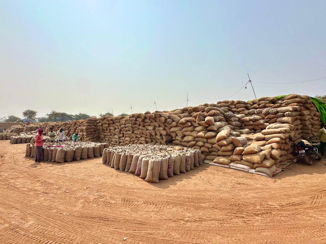 समर्थन मूल्य पर धान उपार्जन सुचारू, 56.85 लाख क्विंटल से अधिक धान की खरीदी