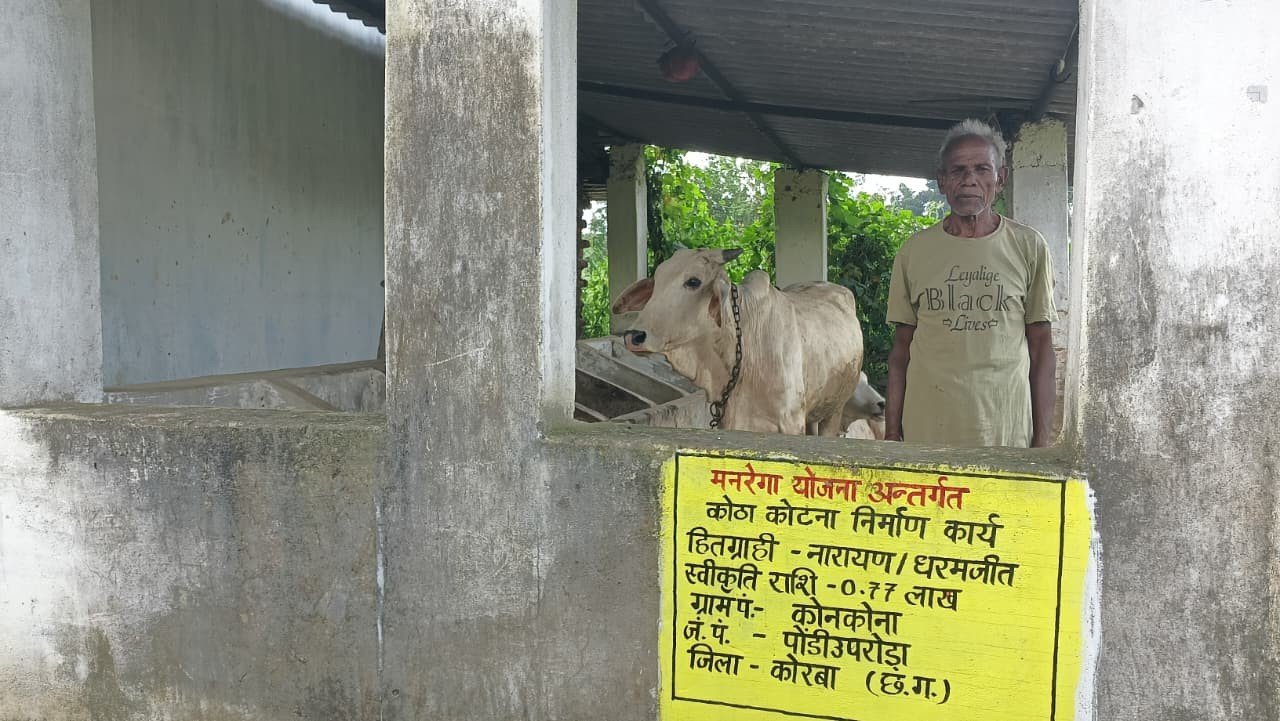 मनरेगा के पशु शेड निर्माण से नारायण को गौपालन में मिली नई राह हितग्राही को आमदनी का बना नया माध्यम