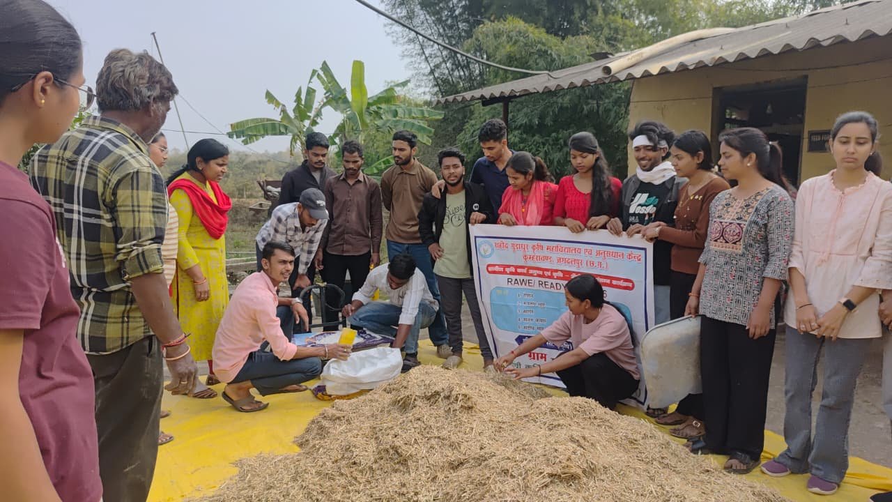 पराली जलाने की समस्या का वैज्ञानिक समाधान यूरिया उपचार से साधारण चारे को पौष्टिक आहार में बदल रहे कृषि वैज्ञानिक