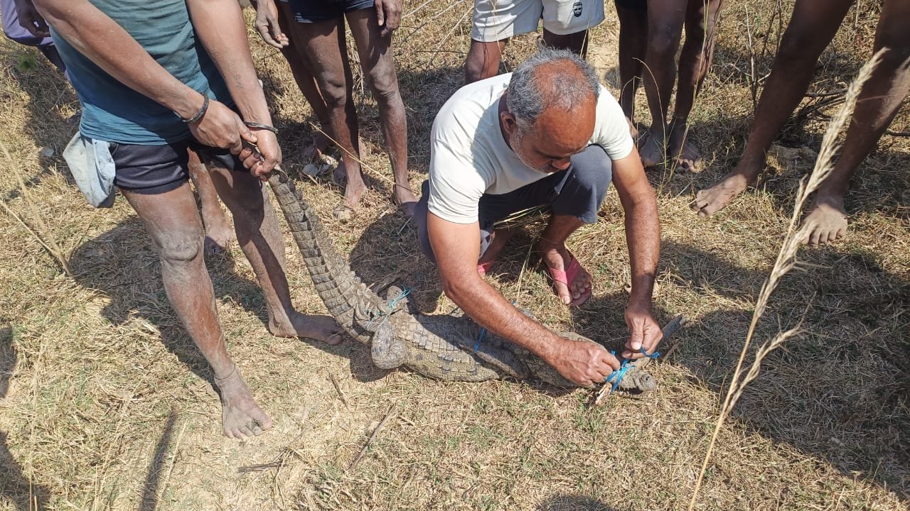 शासन की योजनाओं का सकारात्मक प्रभाव