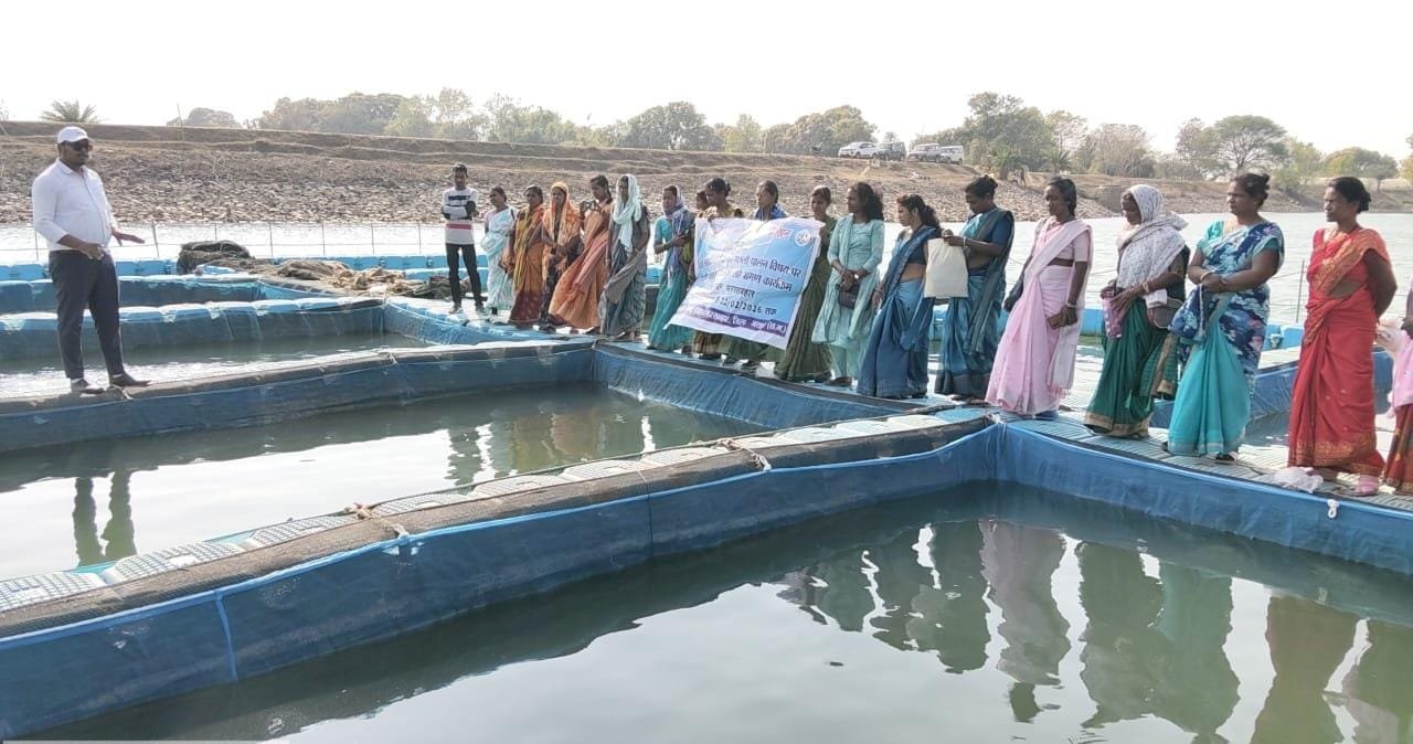 आधुनिक तकनीक से मत्स्य पालन की ओर बढ़े कदम फरसाबहार की बिहान समूह सदस्याओं को ‘लखपति दीदी’ बनाने एक्सपोजर विजिट आयोजित