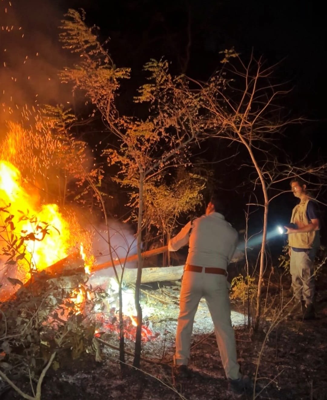 होली के दिन भी वनों की सुरक्षा में जुटे रहे वनकर्मी