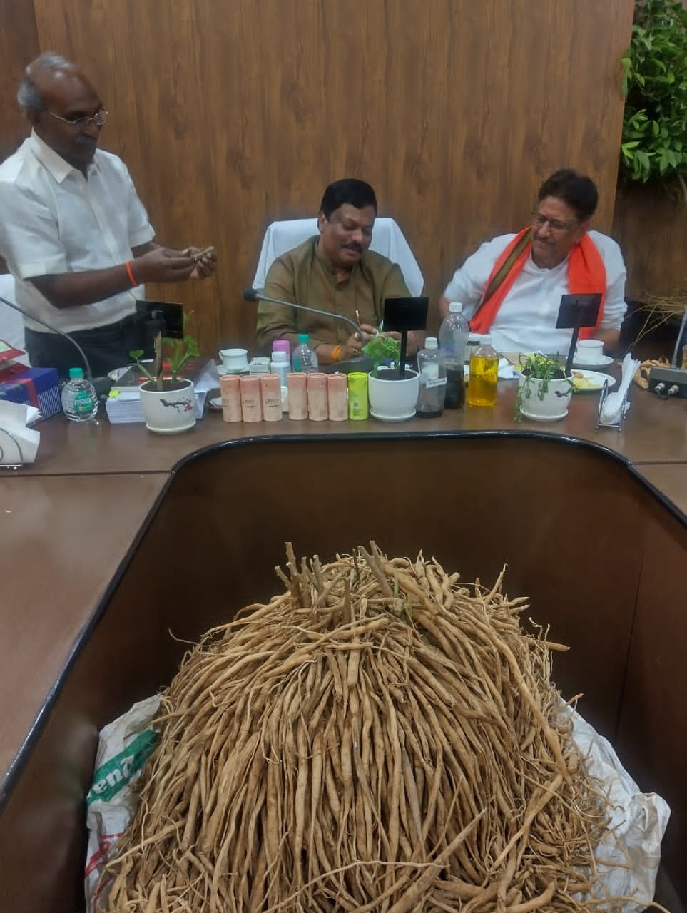 बस्तर और सरगुजा में औषधीय पौधों की योजनाओं का होगा विस्तार : विकास मरकाम