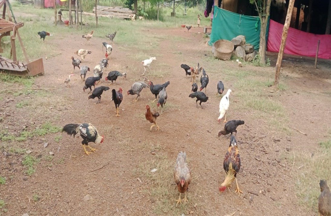 संघर्ष से सफलता तक का सफर , पांचो जयते बनी सफल महिला उद्यमी