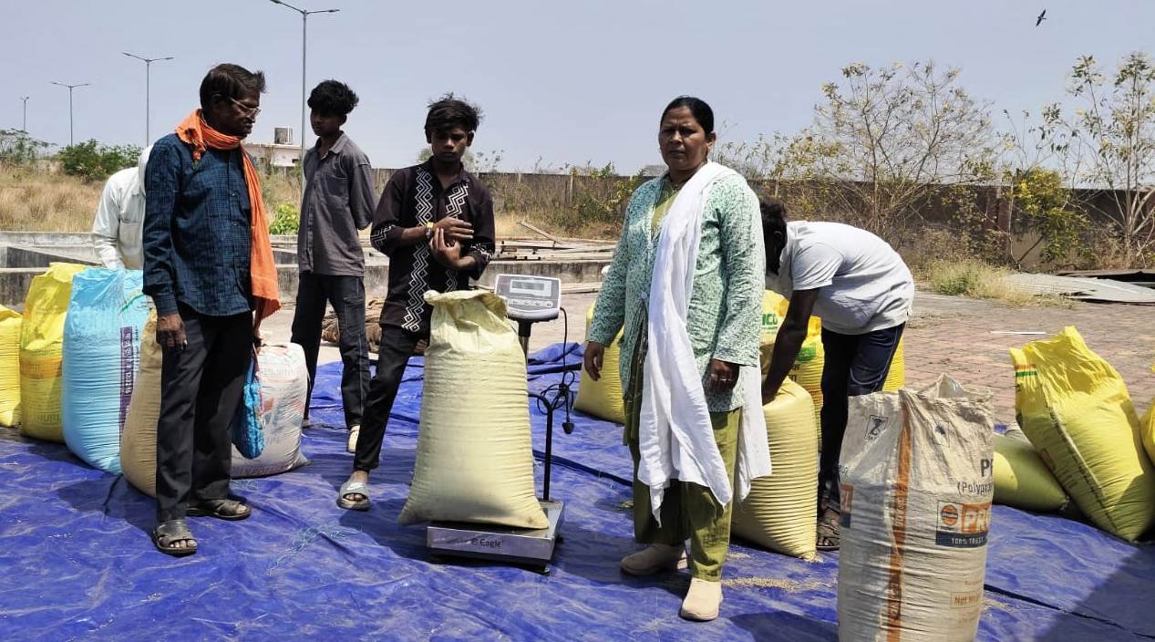 पीएम-आशा योजना अंतर्गत समर्थन मूल्य पर दलहन-तिलहन की की जा रही खरीदी