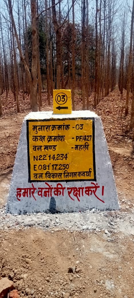 वनों की सुरक्षा को मिला नया कवच- 227 मुनारों का निर्माण पूर्ण