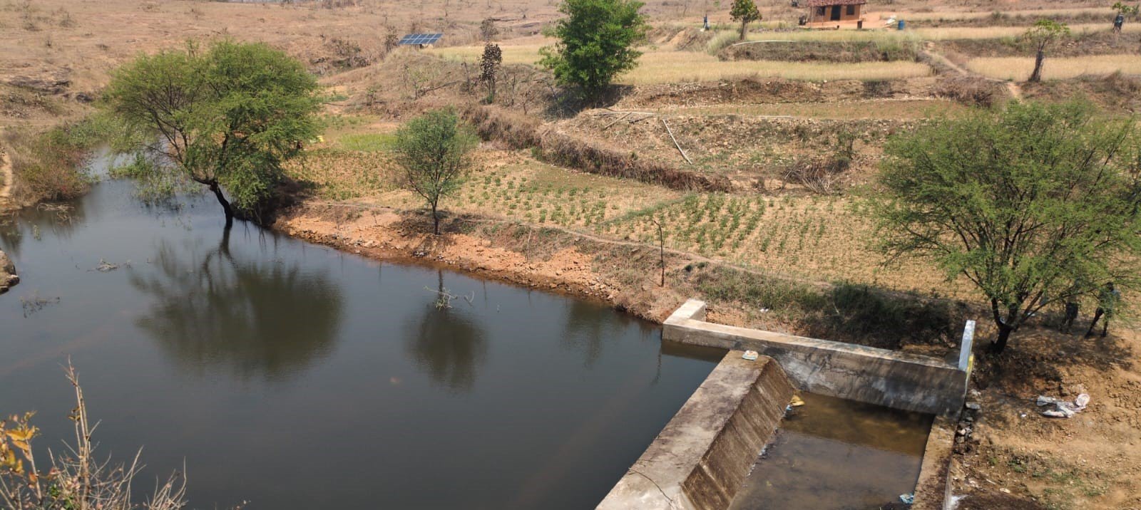 चेक डैम बना ग्रामीणों की आत्मनिर्भरता का आधार  जल संरक्षण के साथ रोजगार और खेती में आया बदलाव