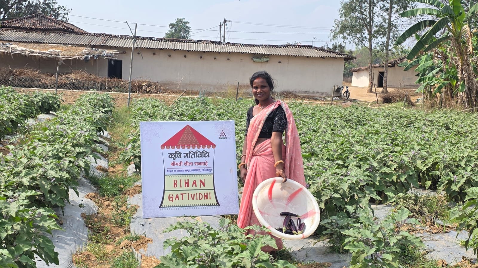 बिहान’ से जुड़कर संवर रही ग्रामीण महिलाओं की आजिविका उन्नत खेती से शीला राजवाड़े बनीं लखपति दीदी