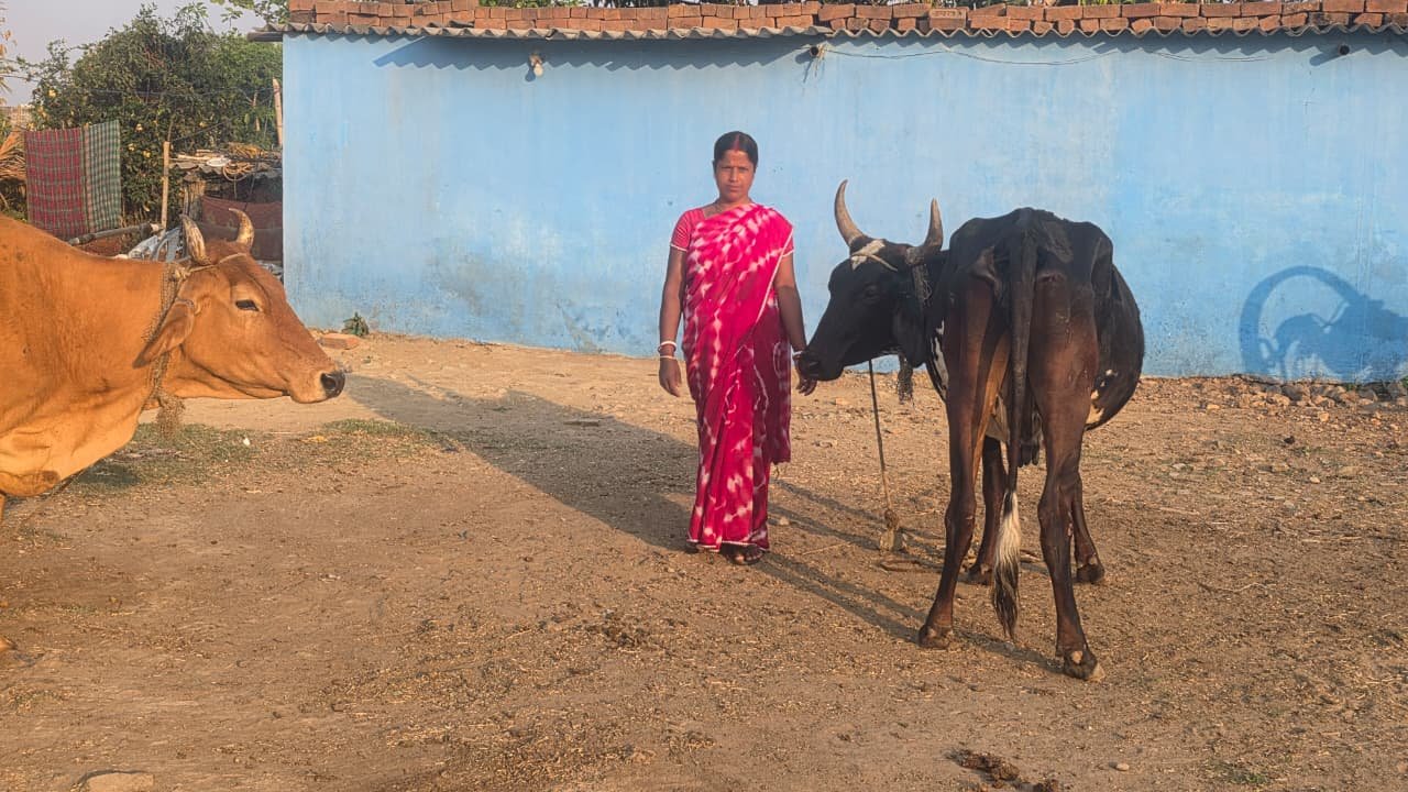 दुग्ध उत्पादन से कमला बनीं ‘लखपति दीदी’, सालाना हो रही 1.5 लाख की शुद्ध बचत