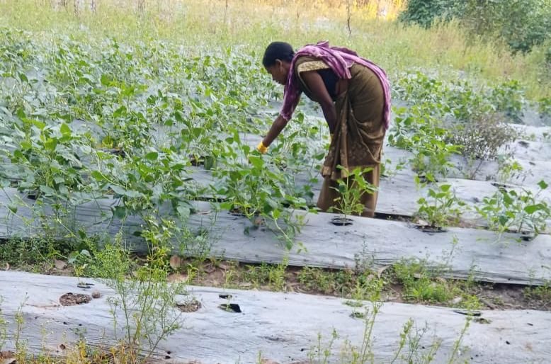 बिहान से बदली जिंदगीरू गुंजवती पेगड़ बनीं “लखपति दीदी”