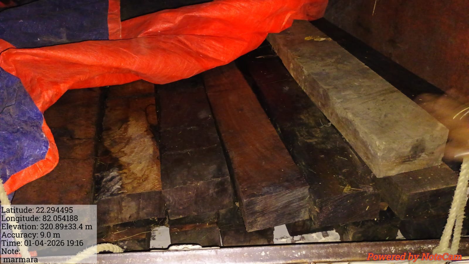 लकड़ी के अवैध परिवहन पर कार्रवाई, पिकअप वाहन जब्त  वन विकास निगम की गश्त से मिली सफलता