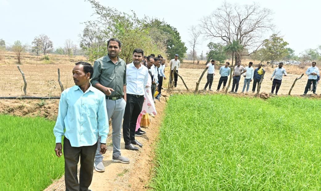 कलेक्टर ने कलारबाहरा में हो रही रागी की खेती का किया निरीक्षण