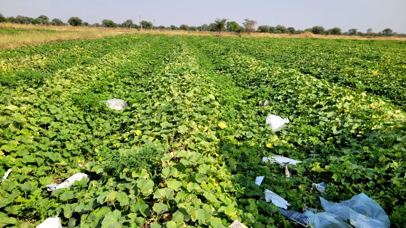 कृषि विभाग द्वारा किसानों को कराया गया शैक्षणिक भ्रमण