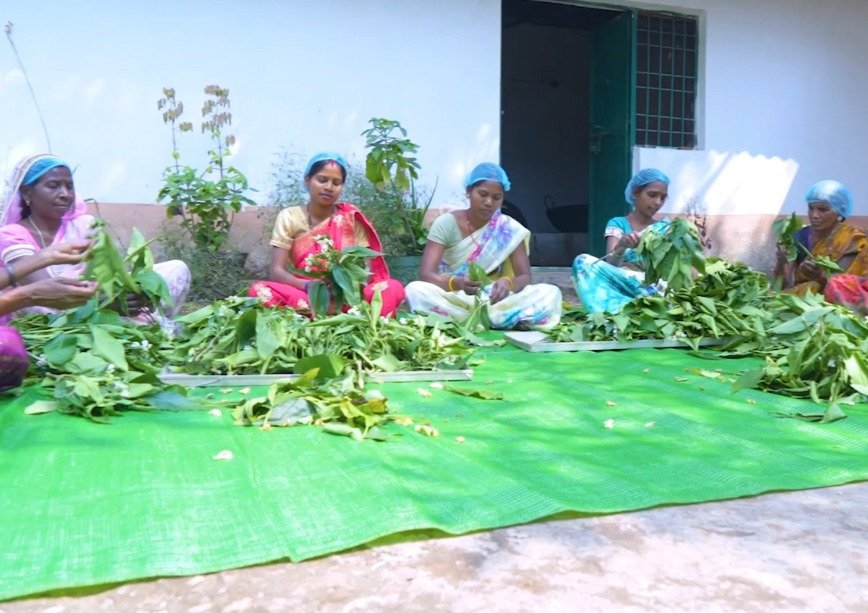वन धन विकास केंद्र पंचक्की  स्व-सहायता समूहों को 23 लाख से अधिक की वार्षिक आय