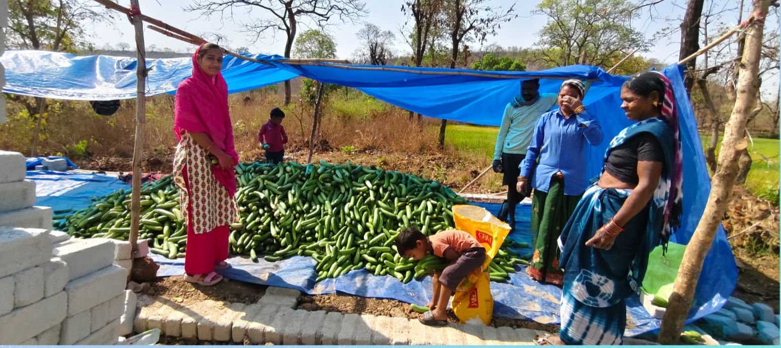 खीरा की खेती ने बदली सुभद्रा की जिंदगी  बिहान योजना से बनी लखपति दीदी