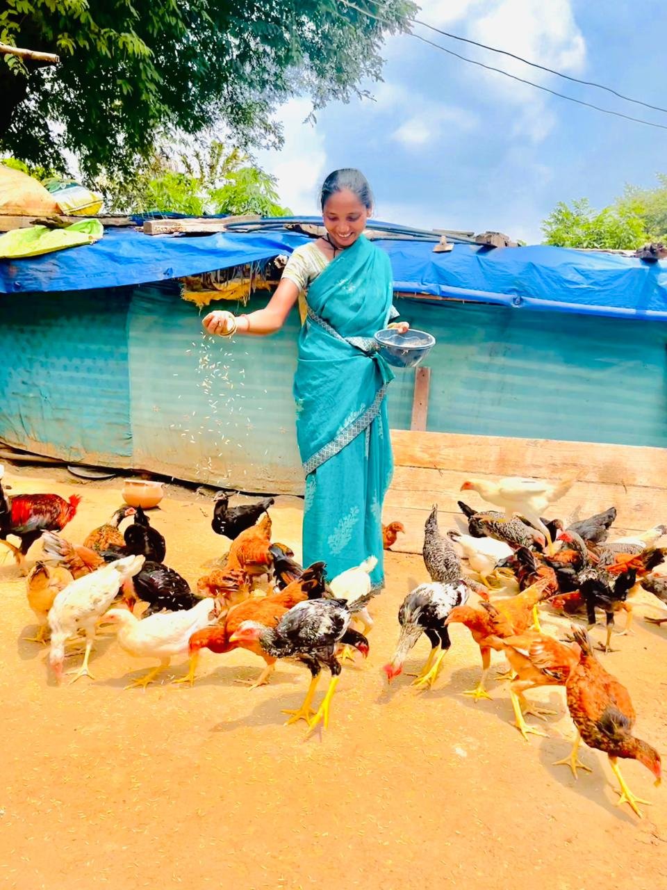 एकीकृत कृषि और आजीविका के लिए “दीदी के बखरी “से आ रही नई क्रांति