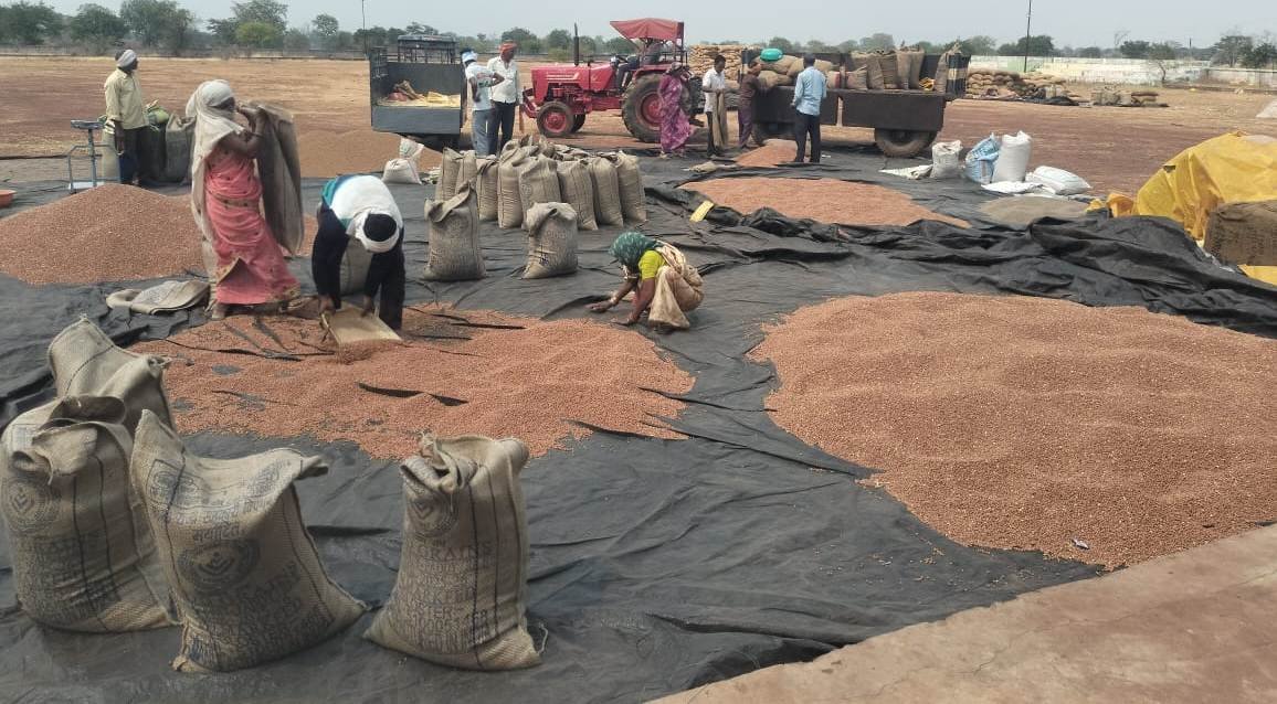 जिले में अब तक पीएम आशा योजनांतर्गत दलहन, तिलहन फसलों की समर्थन मूल्य पर 108 कृषकों को 40 लाख 41 हजार 733 रूपए राशि का किया गया भुगतान