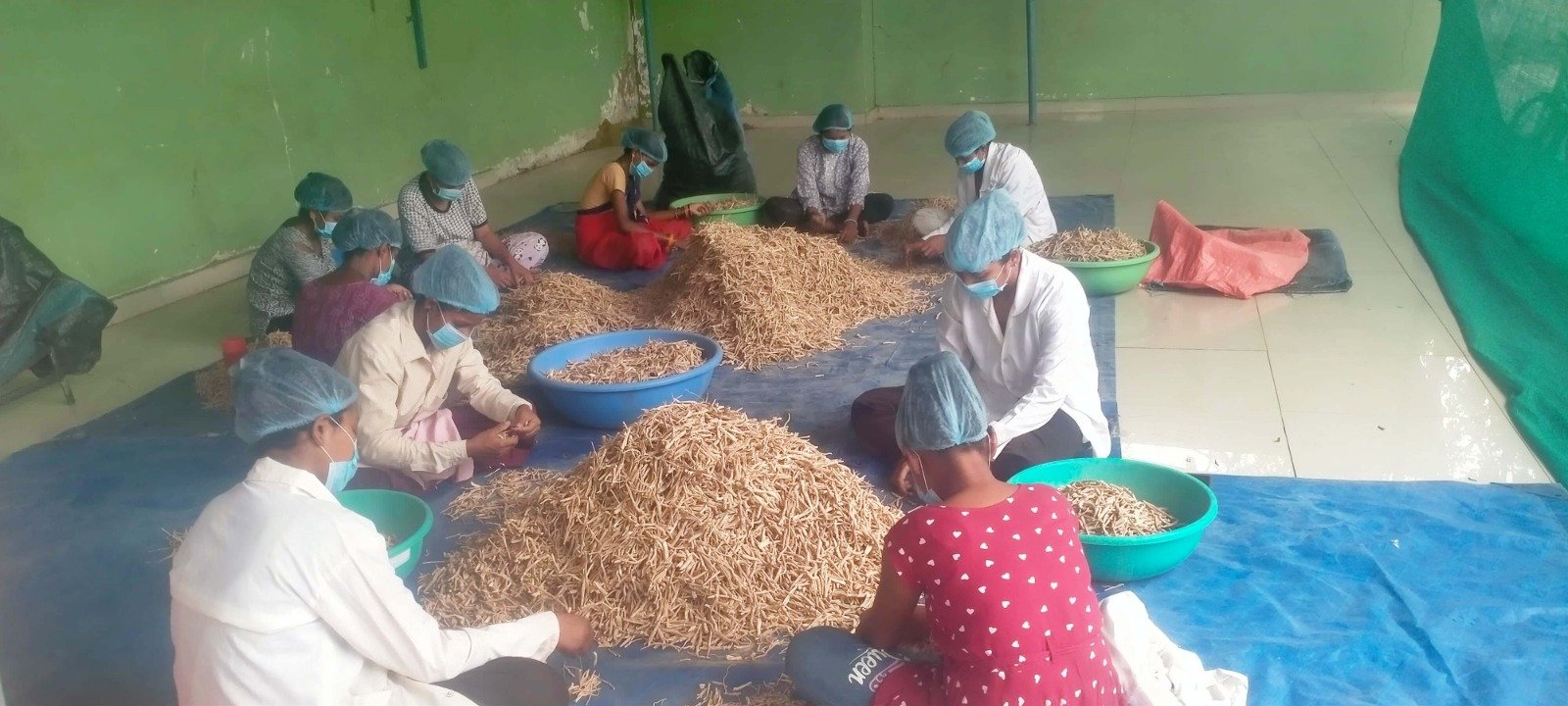 हर्रा वनौषधि प्रसंस्करण से आत्मनिर्भर बनीं महिलाएं, महिलाएं कर रहीं हैं 8 प्रकार के उत्पाद तैयार