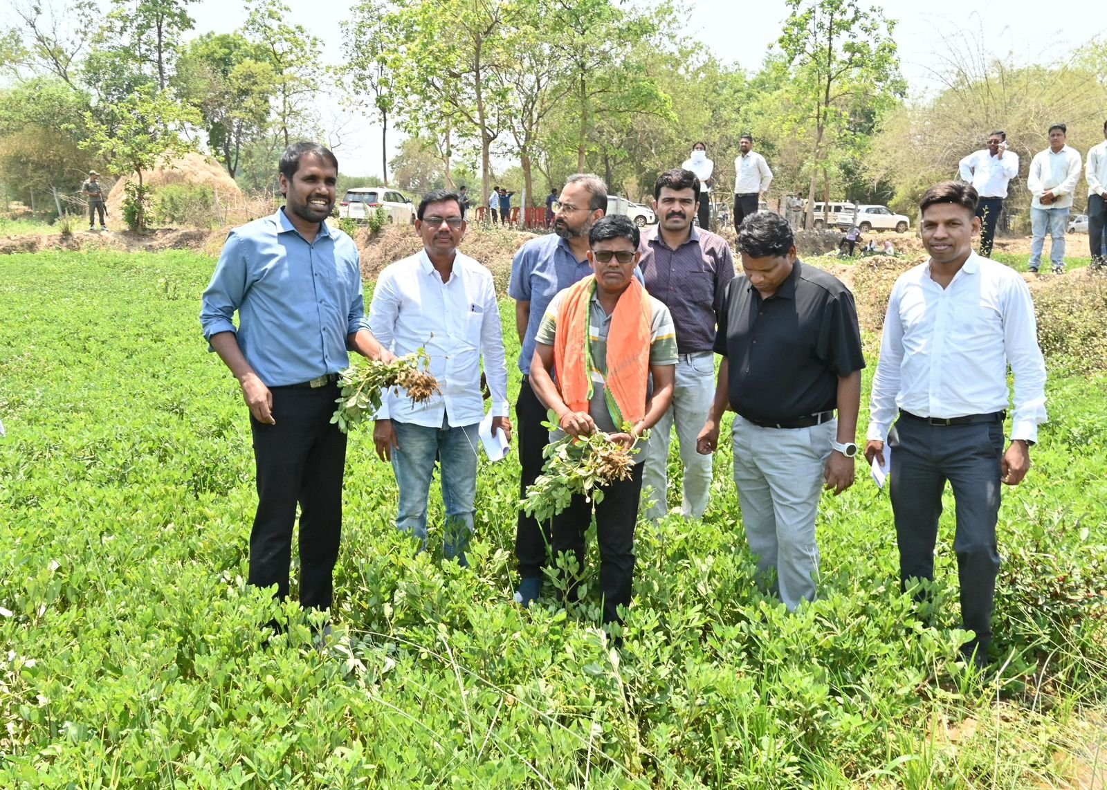 मूंगफली की खेती से किसानों को मिल रही बेहतर आय, कलेक्टर ने किया बुड़ेनी का दौरा