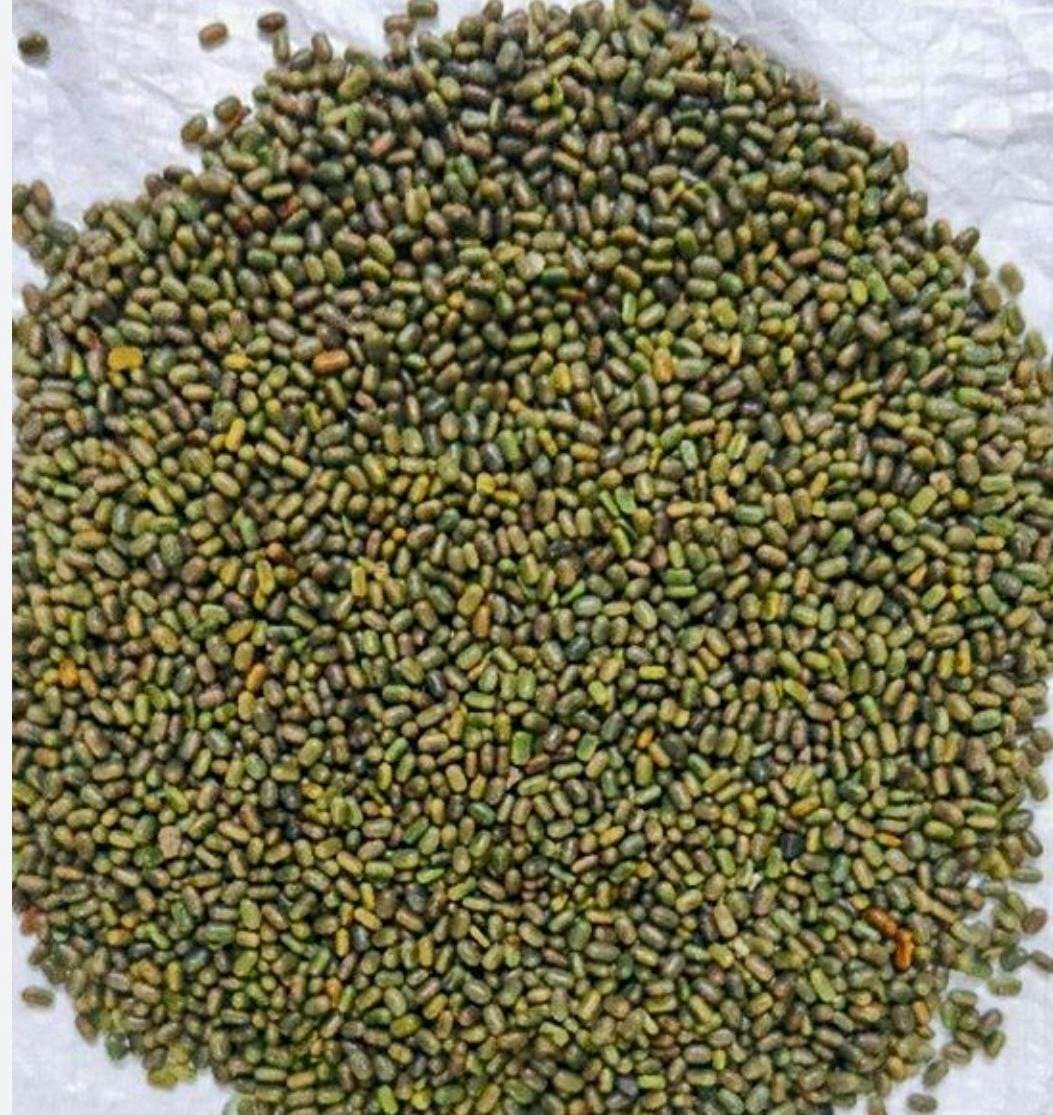 हरी खाद और नील-हरित काई से खेती को मिलेगी नई दिशा