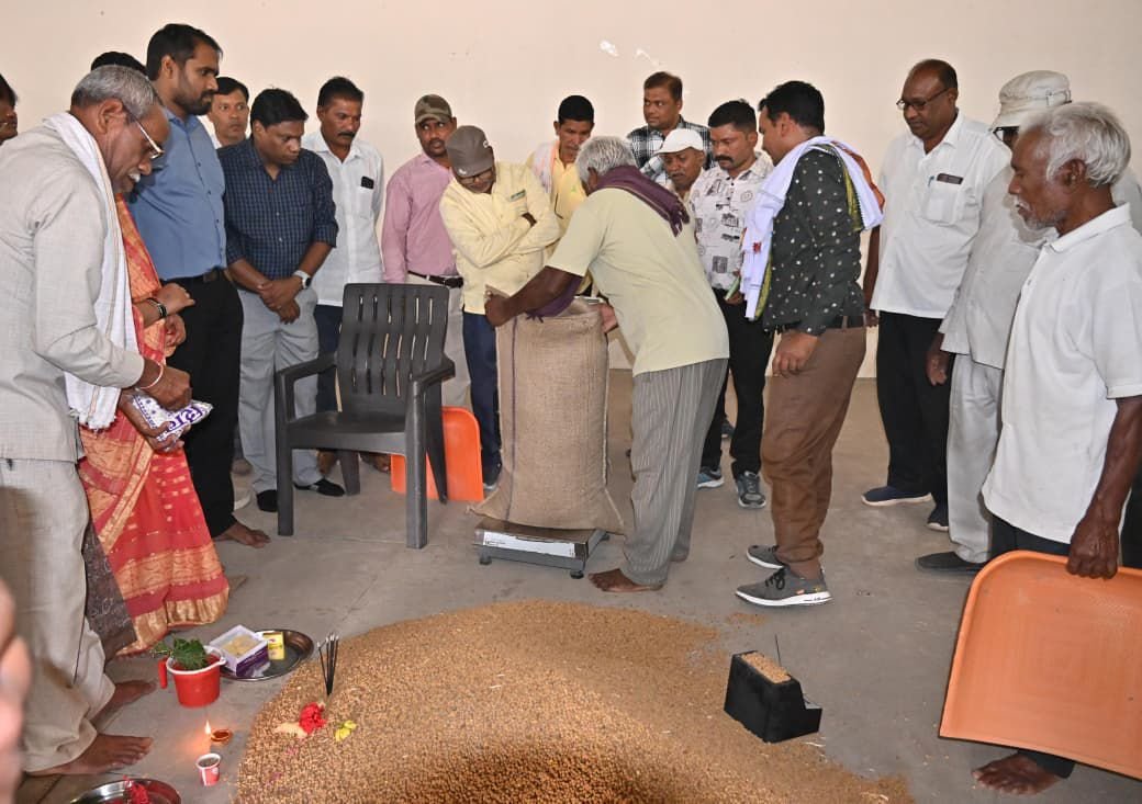 धमतरी जिला चना खरीदी में प्रदेश में अग्रणी, 76 हजार क्विंटल खरीदी पूरी