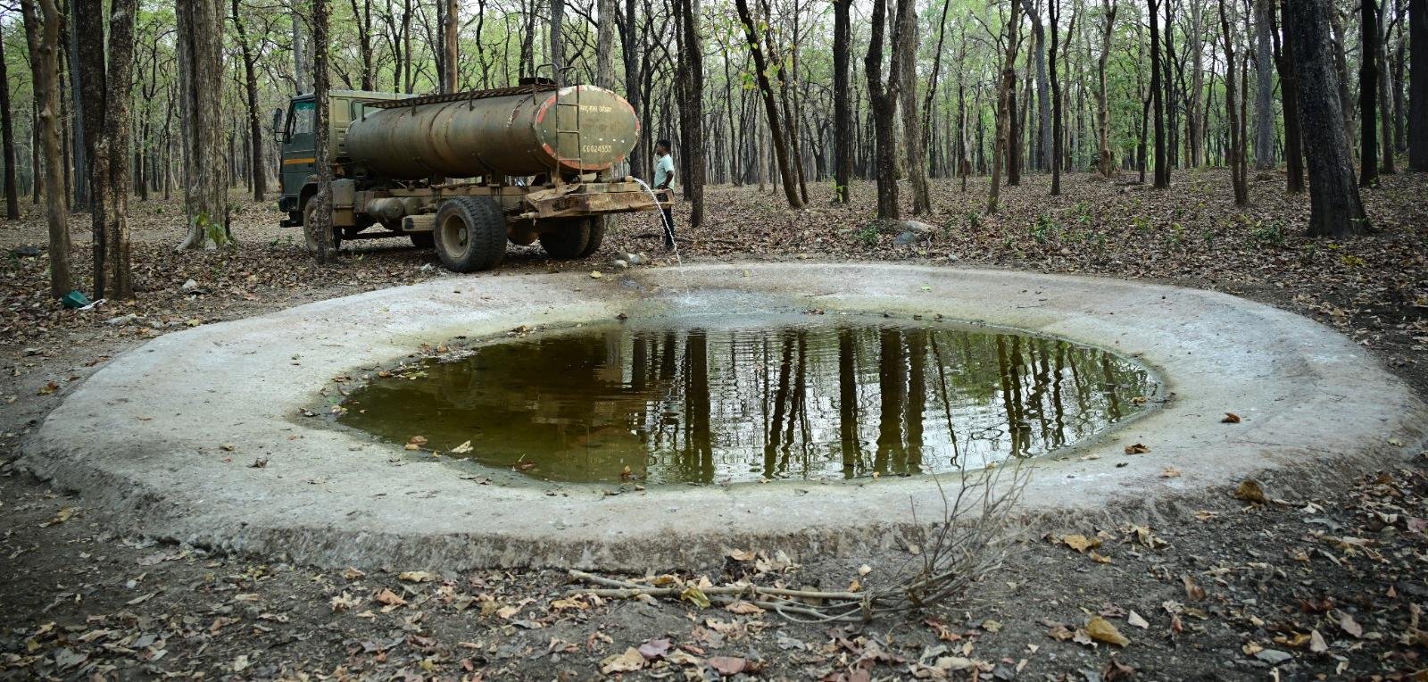 भीषण गर्मी में वन्यजीवों के लिए ‘संजीवनी’ बना बारनवापारा