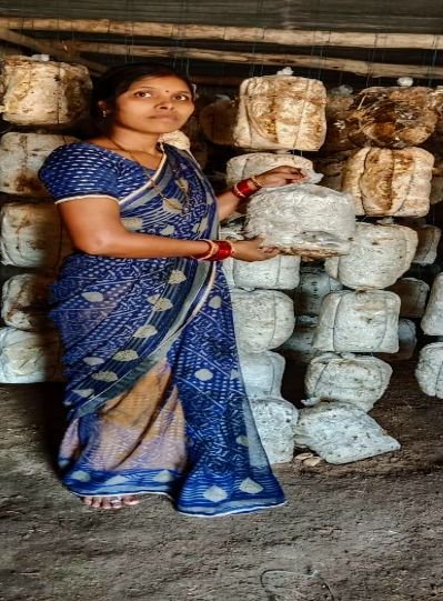 जिला स्तरीय रोजगार मेला के लिए निजी संस्थानों से रिक्तियों की जानकारी आमंत्रित