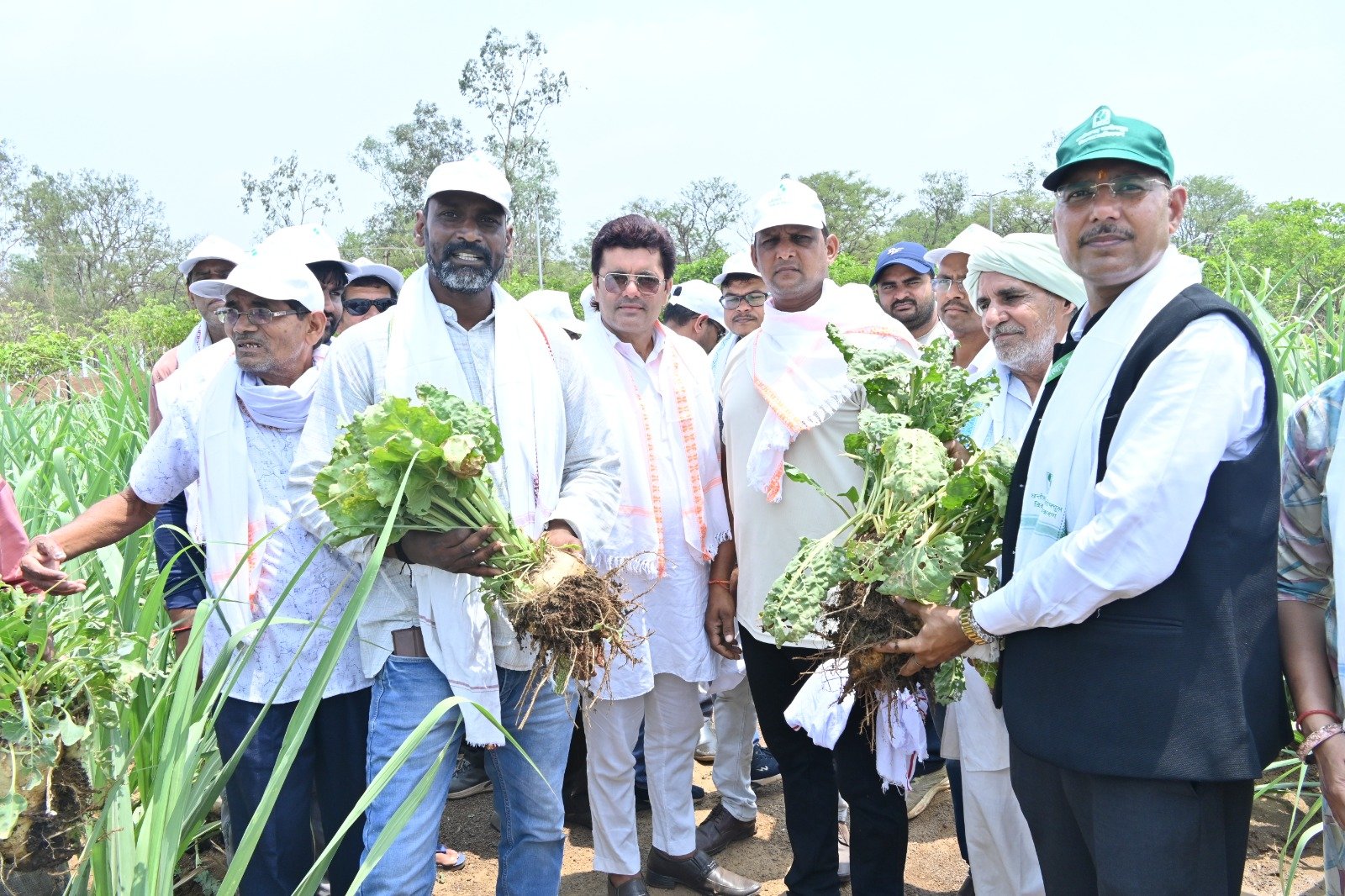 छत्तीसगढ़ बायोफ्यूल विकास प्राधिकरण द्वारा ग्राम गोढ़ी में हुआ किसान सम्मेलन