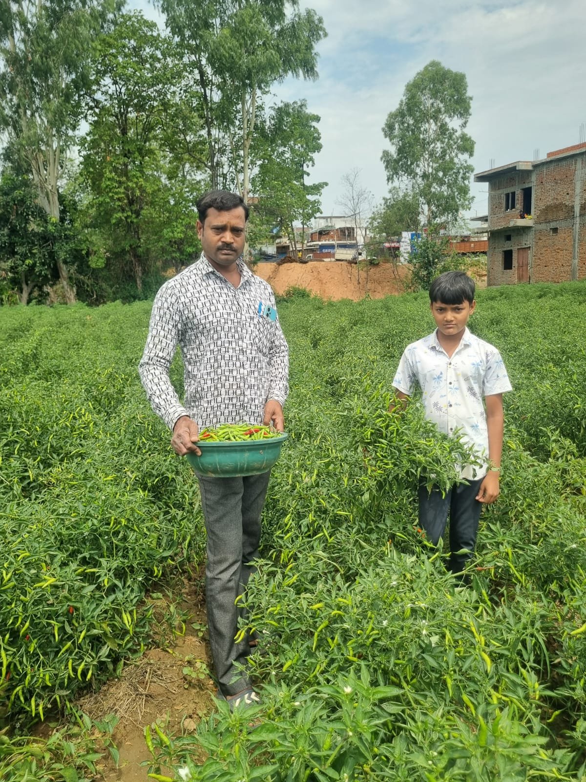 बिना केमिकल, बंपर मुनाफाः डोलनारायण की जैविक मिर्च ने बाजार में मचाई धूम