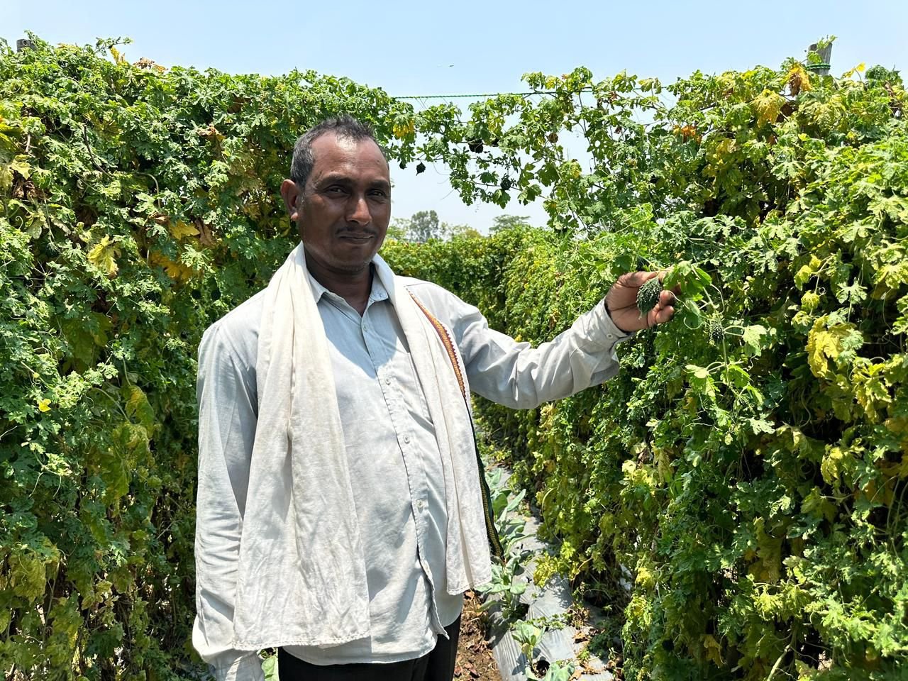 वाटरशेड योजना बनी किसान श्री छबी लाल के लिए समृद्धि का आधार
