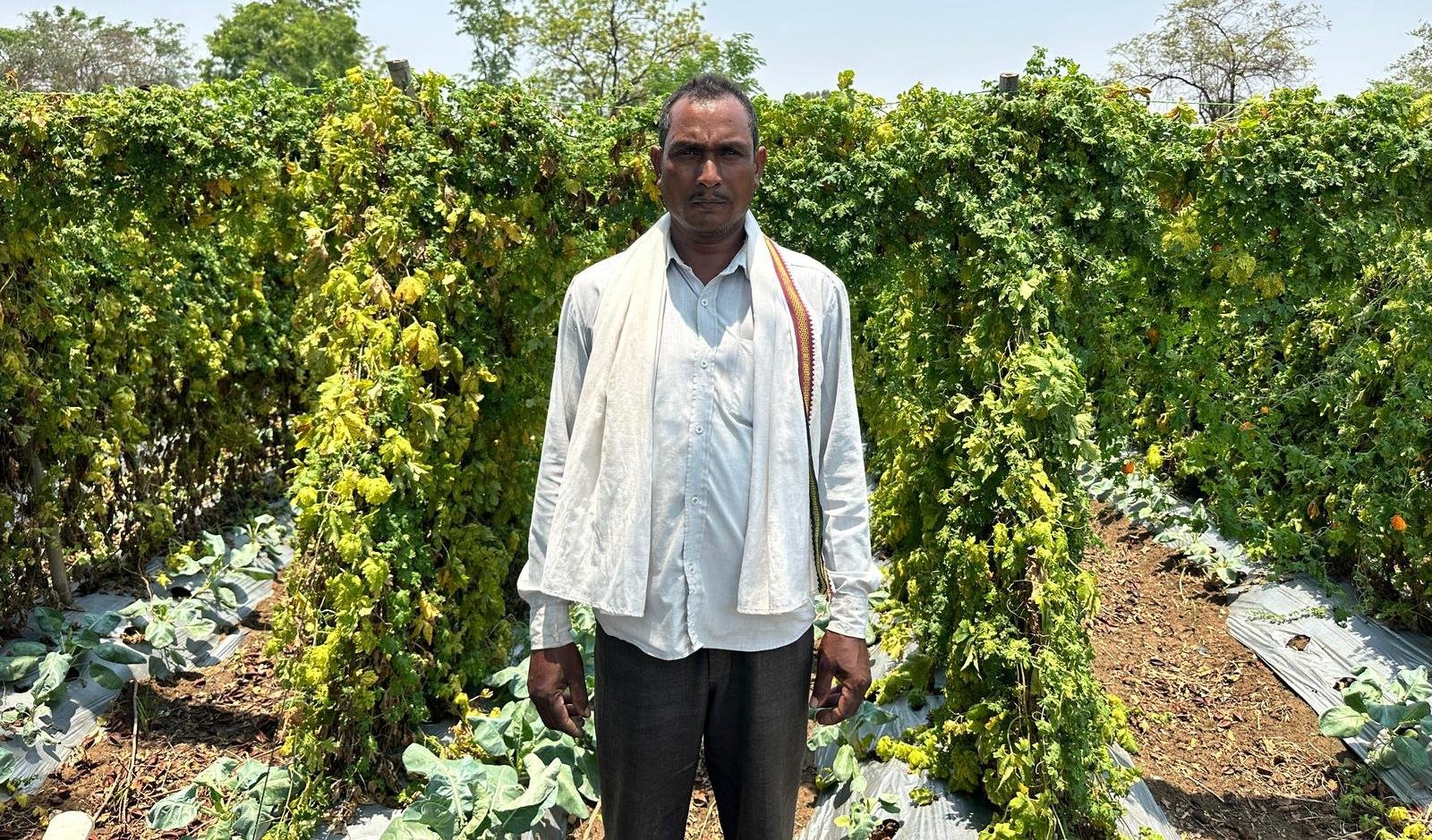 सफलता की इबारत: वाटरशेड योजना ने बदली किसान छबी लाल की तकदीर
