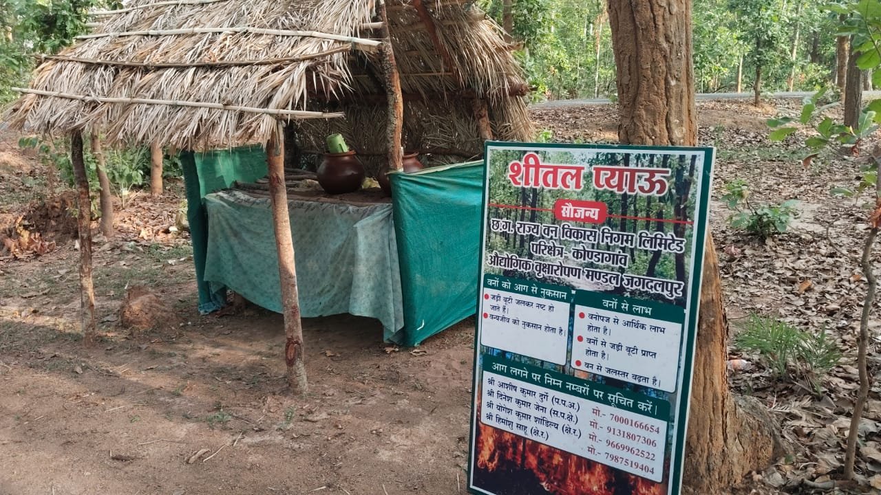 भीषण गर्मी से वन्यजीवों पर संकट, वन विभाग सतर्क  खैरागढ़ में 15 वन्यजीवों और पक्षियों की मौत, जांच के लिए भेजे गए नमूने