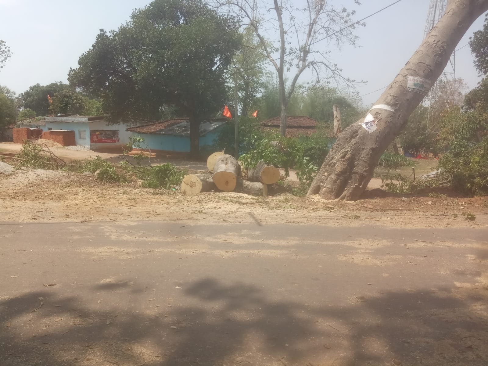 आरा मार्ग पर गिरे पेड़ को हटाया गया आवागमन पूरी तरह सुचारू रूप से जारी