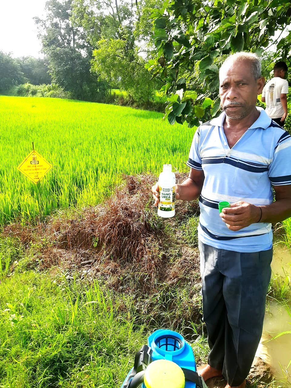 नैनो उर्वरक से बदली किसान रेशम लाल की किस्मत, कम लागत में कमा रहे अच्छा मुनाफा