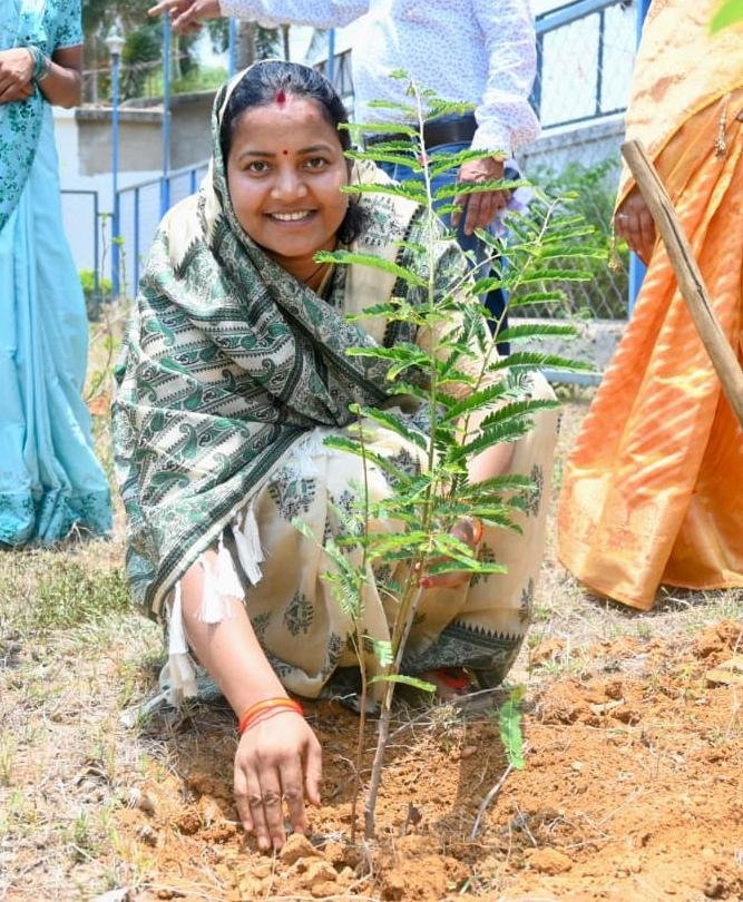 विश्व पर्यावरण दिवस पर मंत्री  लक्ष्मी राजवाड़े ने किया पौधरोपण  *“एक पेड़, अनेक पीढ़ियों का भविष्य” — हरित छत्तीसगढ़ के निर्माण का दिया संदेश