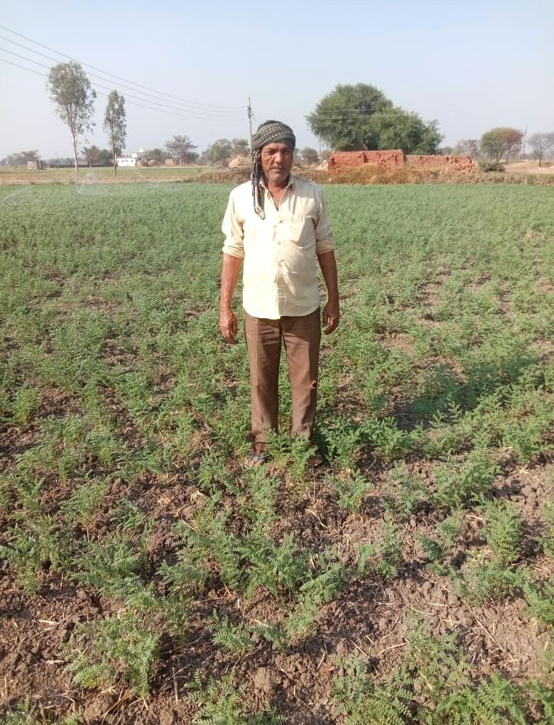 फसल विविधीकरण से बदलेगी खेती की तस्वीर, किसानों को मिलेगा 15 हजार रुपये प्रति एकड़ प्रोत्साहन