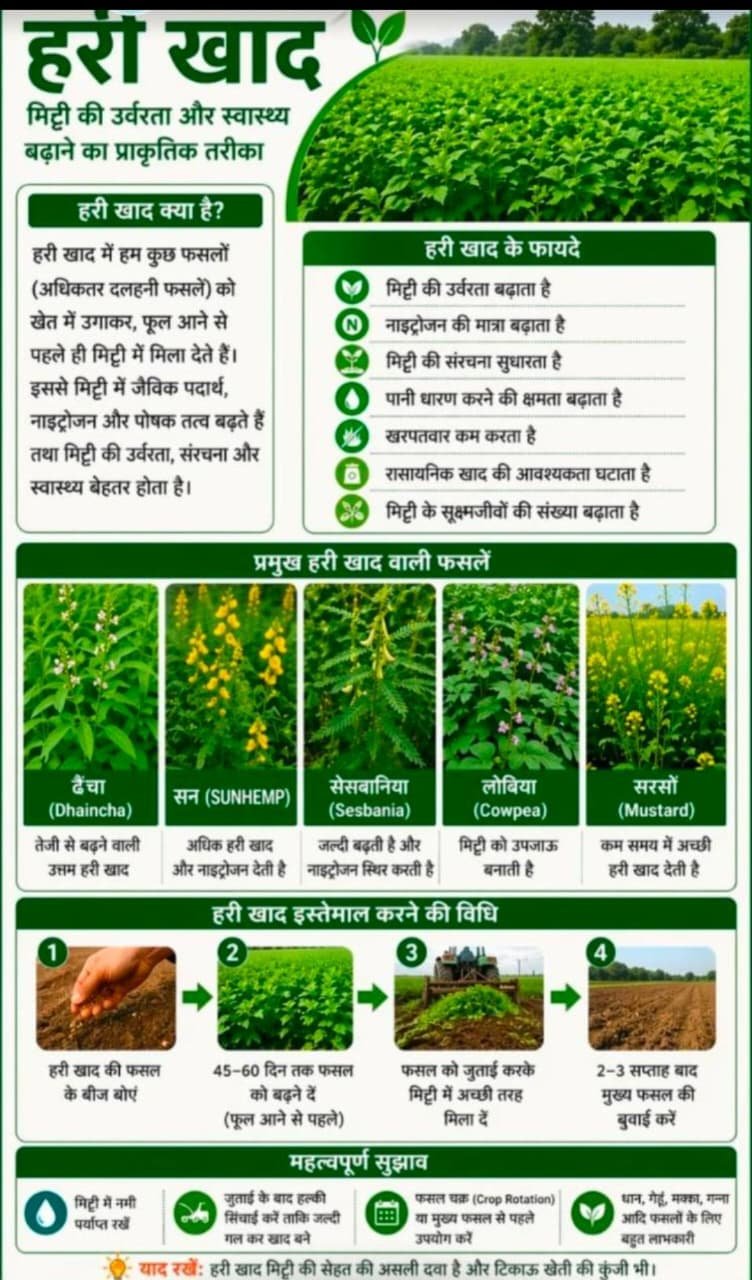 खरीफ 2026 : धान और हरी खाद के बीजों का पर्याप्त भंडारण, किसानों को समय पर मिलेगा लाभ