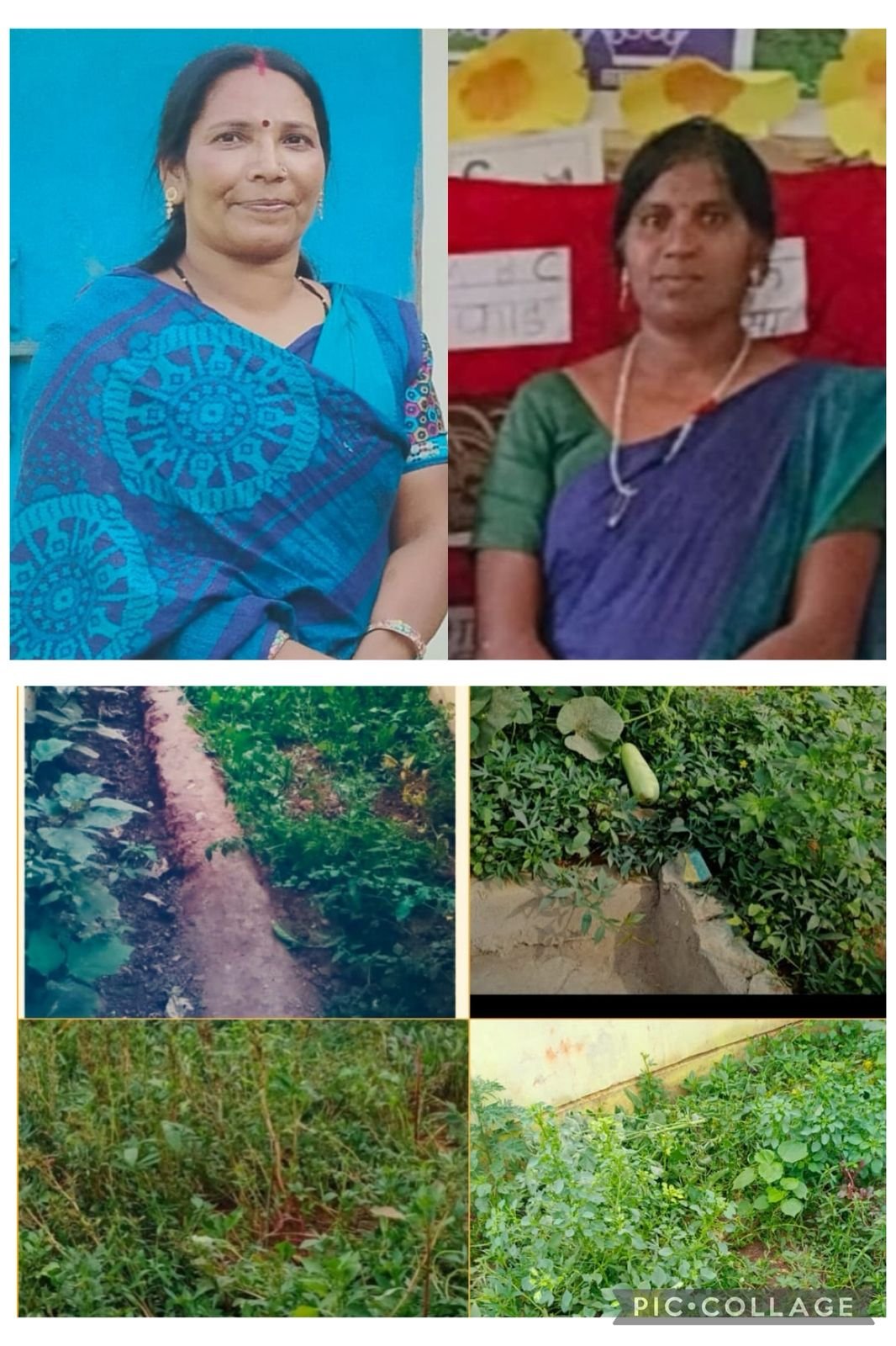 पोषण वाटिका से बदली बच्चों की सेहत की तस्वीर  कंडेल आंगनबाड़ी केंद्र की पहल बनी कुपोषण से लड़ाई का सफल मॉडल