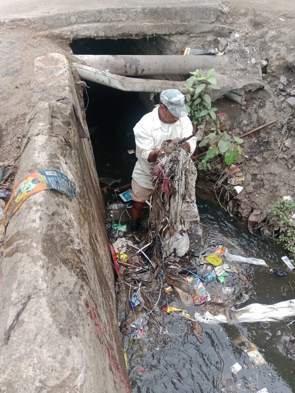 नगर निगम द्वारा सफाई, जल निकासी, सड़क मरम्मत एवं सौंदर्यीकरण कार्यों में तेजी