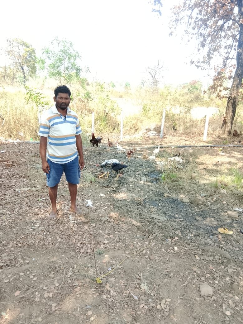 पशुपालन विभाग की ऋण योजना से बदली किसान की किस्मत  मुर्गी पालन से हुआ आर्थिक बदलाव