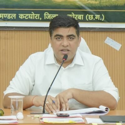 सड़क पर घूमने वाले मवेशियों को पकड़ने के साथ जुर्माना भी वसूला जाए: कलेक्टर