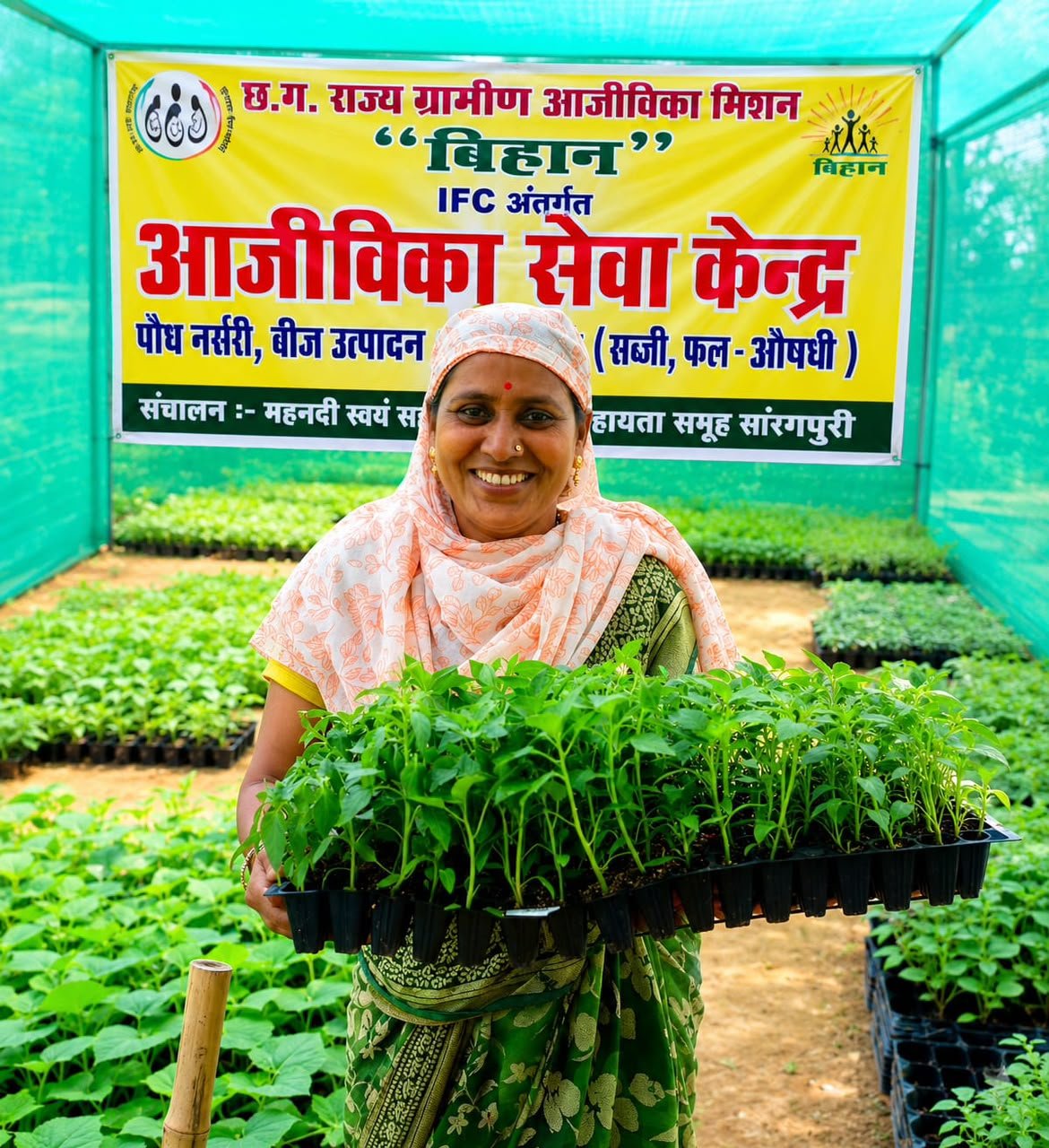 आईएफसी नर्सरी बनी किसानों की उम्मीद, गुणवत्तापूर्ण पौधों से बढ़ रही आय और आत्मनिर्भरता बिहान की आईएफसी नर्सरी से सशक्त हो रहे किसान और महिला समूह