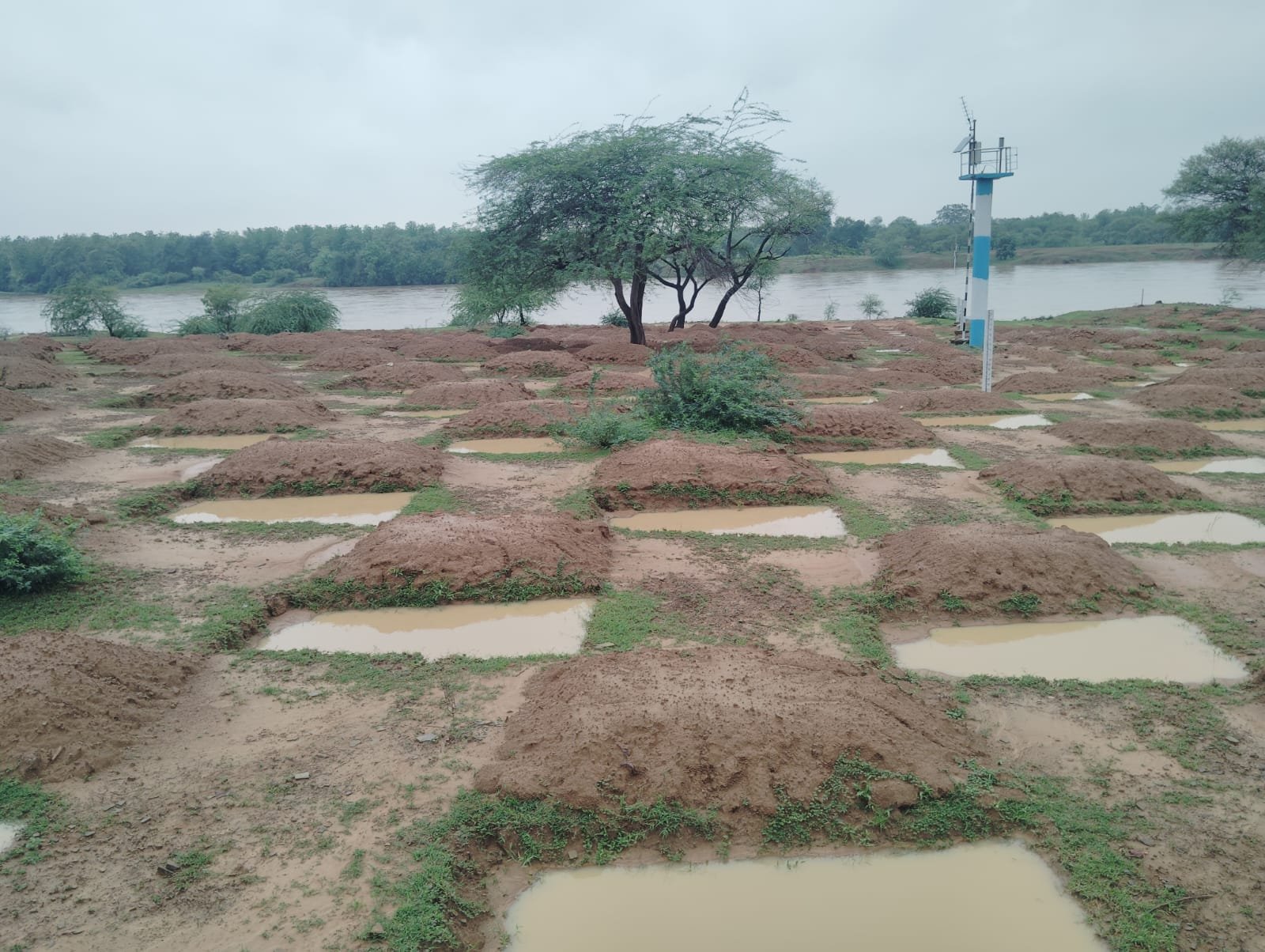 मोर गांव मोर पानी अभियान के तहत निर्मित जल अवशोषण ट्रेंचों से 132.2 लाख घन मीटर वर्षा जल का भण्डारण