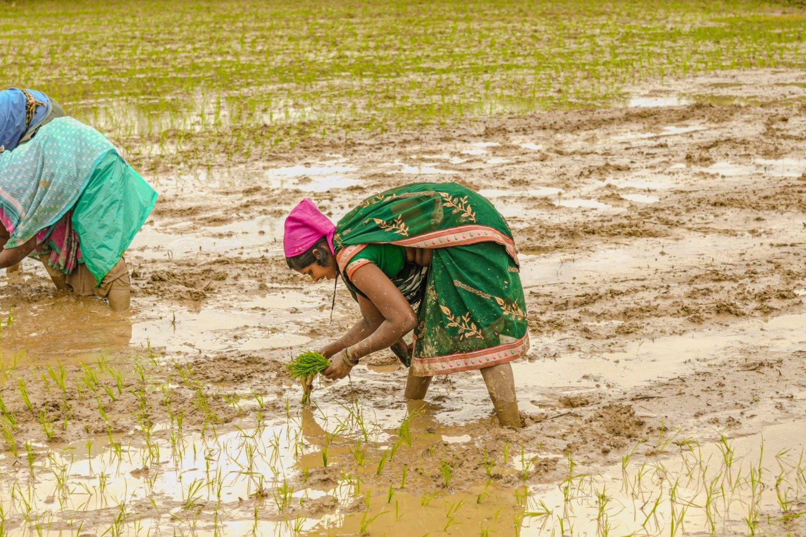 झमाझम बारिश से दूर हुई किसानों की चिंता