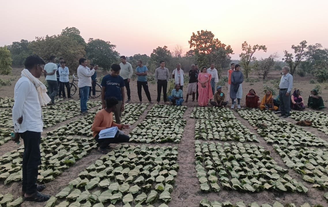 साय सरकार के सुशासन में तेन्दूपत्ता संग्राहकों को मिली आर्थिक मजबूती, 10,160 हितग्राहियों के खातों में पहुँची 1.39 करोड़ रुपये से अधिक की बोनस राशि