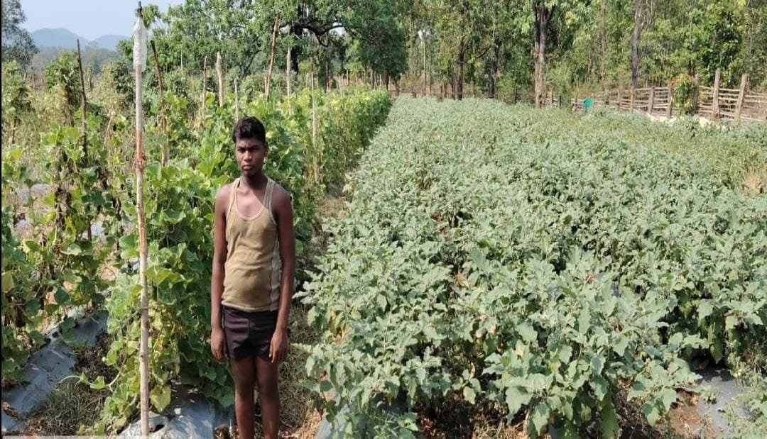 ड्रिप सिंचाई और सब्जी उत्पादन से चमकी नारायणपुर के वासुदेव की किस्मत