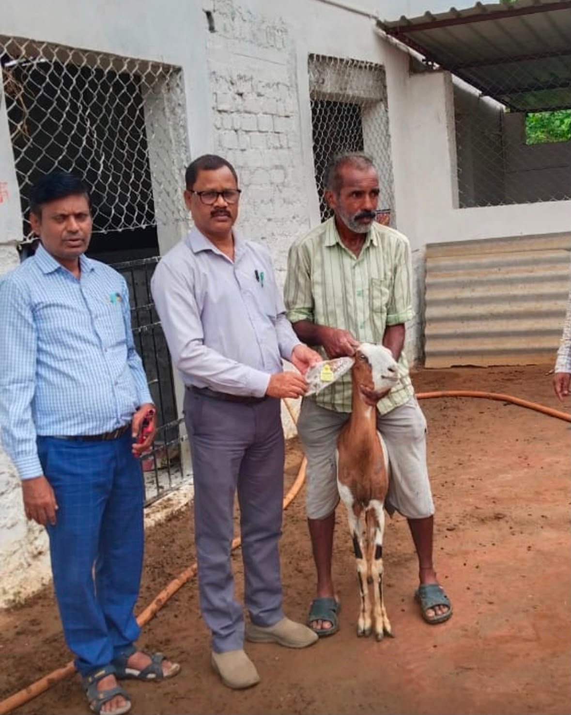सरकारी योजना ने बदली पशुपालक की तकदीर, बकरी पालन से आत्मनिर्भरता की ओर बढ़े अश्वनी ध्रुव